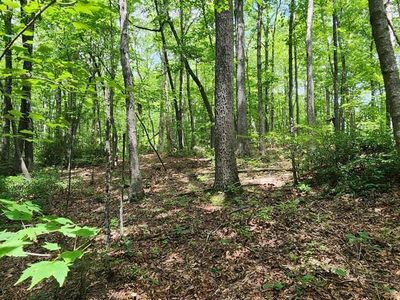 0 Yellow Cliff Rd, Jamestown, TN, 38556