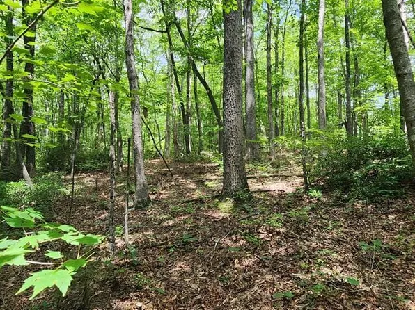 0 Yellow Cliff Rd, Jamestown, TN 38556