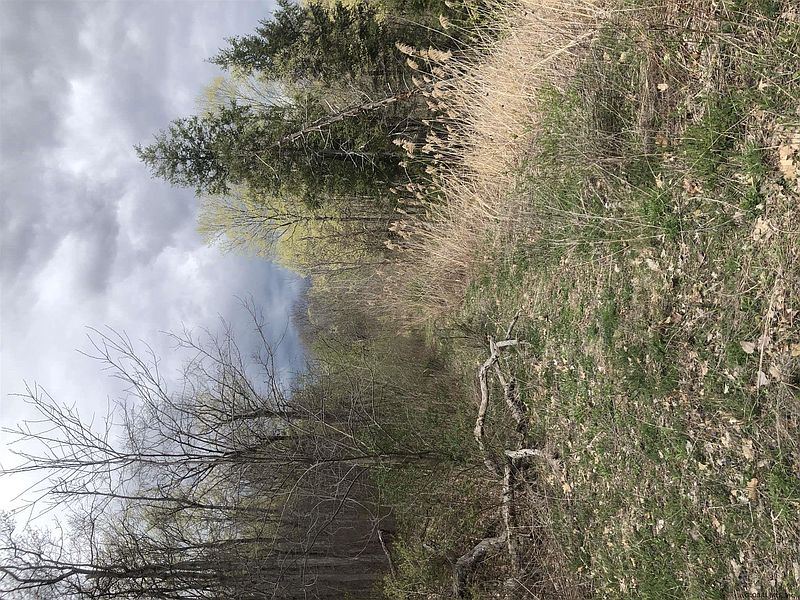 2nd image of 0 COUNTY RT 46