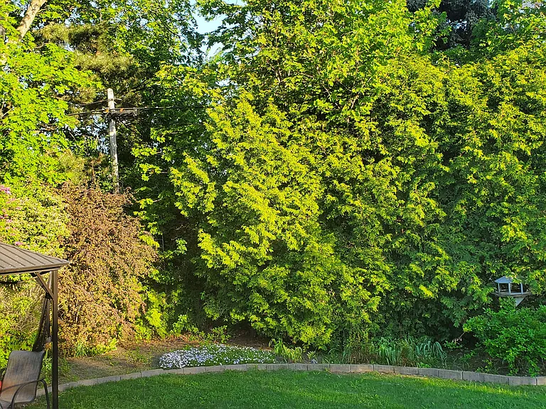 Combe Ave — Photo 7