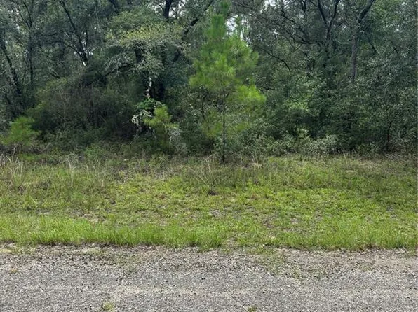 875 E Elston Pl Lot 5, Dunnellon, FL 34434