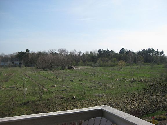 Private view from deck