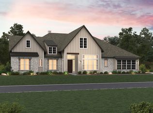 1153 Cape May Warbler, New Braunfels, TX 78132