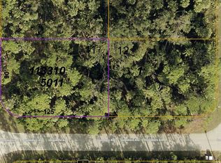 1133105011 JONESBORO AVENUE LOT 11, NORTH PORT, FL 34288