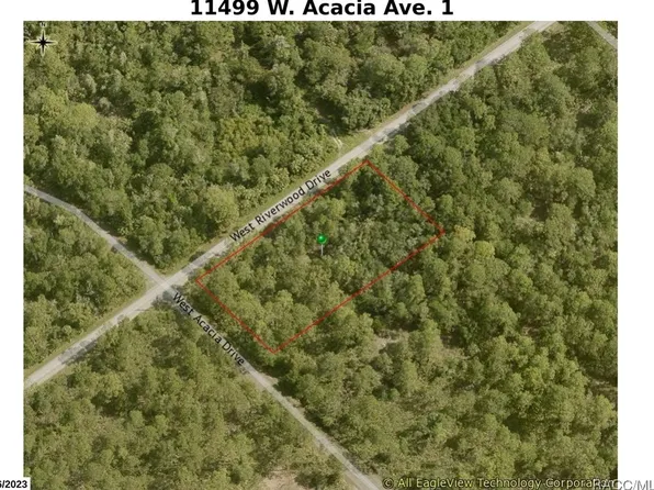 11499 W Acacia Dr, Crystal River, FL 34428