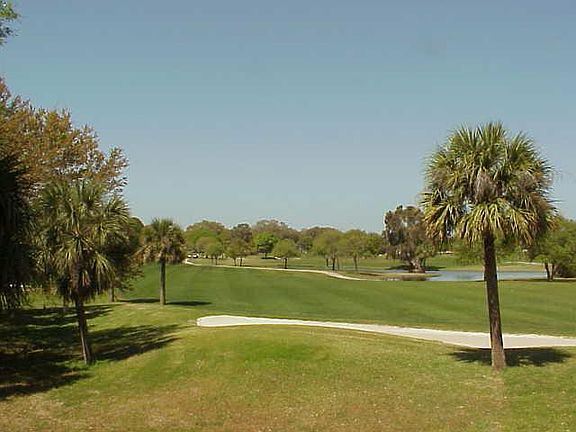 views off the back porch....