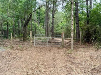 0 Mount Herman Rd, Osyka, MS, 39657
