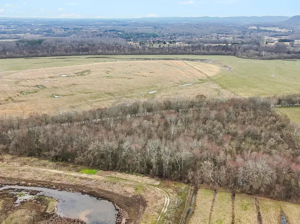 W C Kite Ln, Mosheim, TN 37818