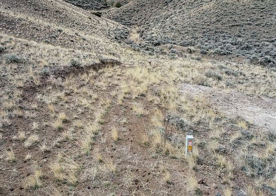 (Undisclosed Address), Cody, WY 82414 | MLS #10019957 | Zillow