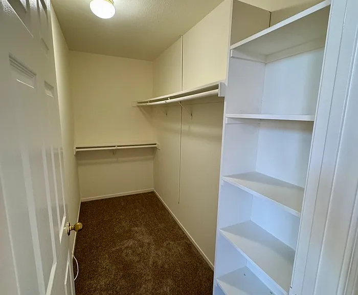 9101 Redwater Dr — Photo 22
