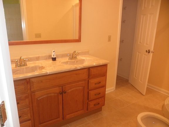 Master bath / dual vanity 