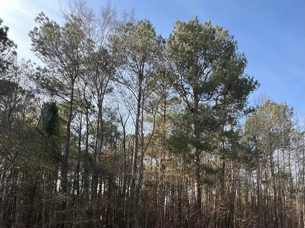 260 Tbd Hwy, Manning, SC 29102