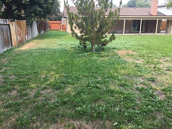 Large grassy backyard