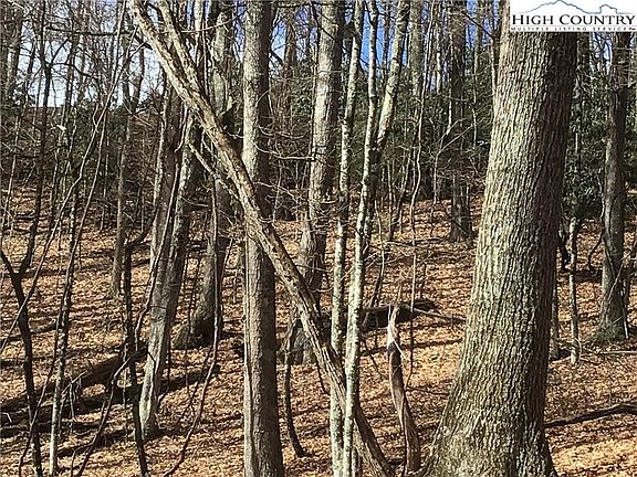 3rd image of TBD Belle Hollor Road