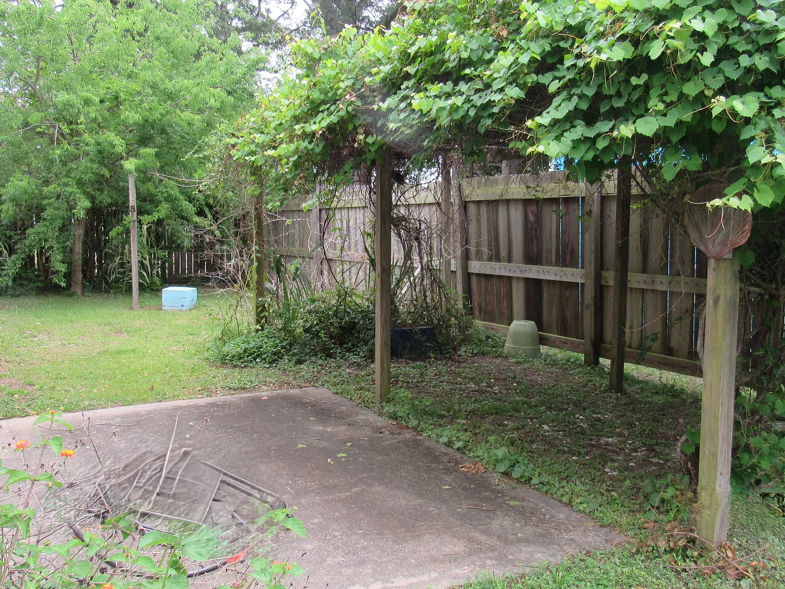 2 bed, 900 sqft, $2,000 — Photo 4