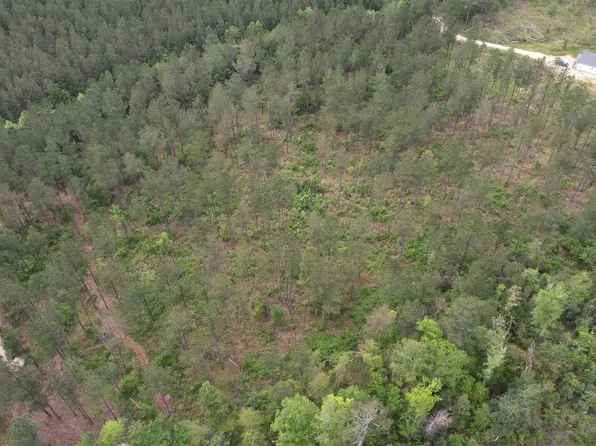 LOT 10 McLin Rd, Pine Grove, LA 70453