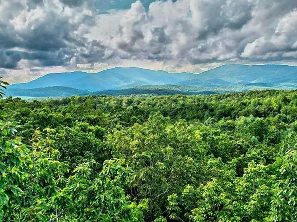 Ltj350 Mountain View Ct #1, Ellijay, GA 30540