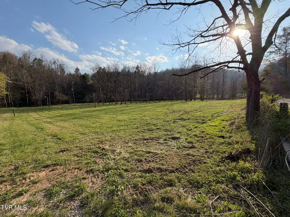 1770 Old 15th Rd, Del Rio, TN 37727