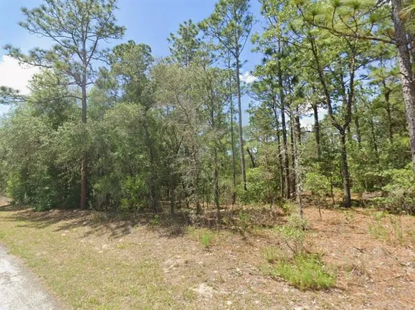 2795 W RUTLAND DRIVE LOT 9, CITRUS SPRINGS, FL 34433
