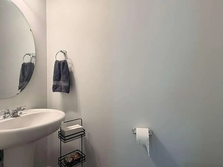 319 Aster Bloom Ln — Photo 7