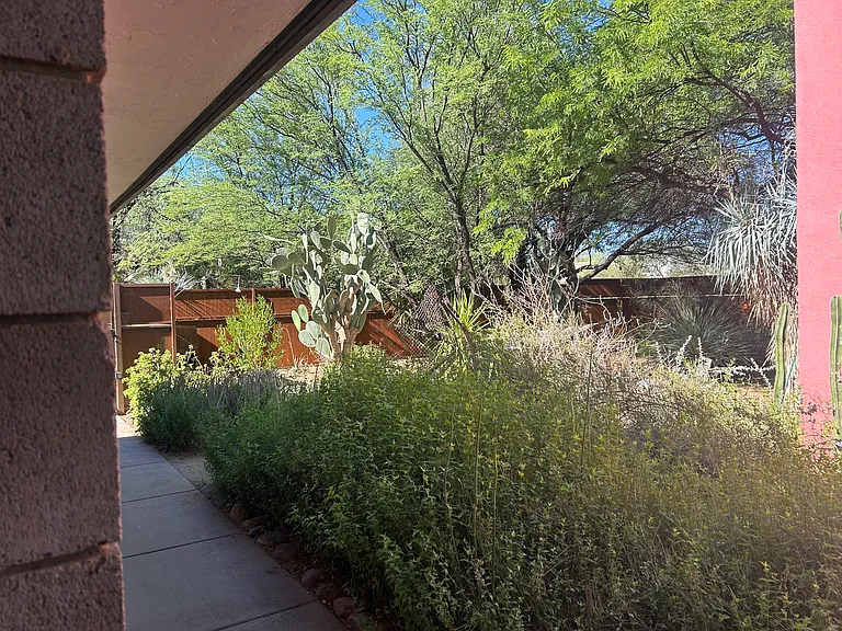 3203 E Terra Alta Blvd #B — Photo 26