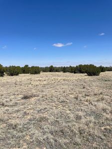 Bear Springs Trl, Model, CO, 81059
