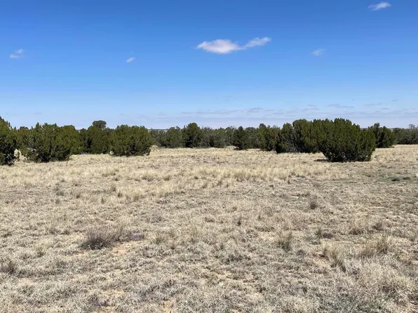 Bear Springs Trl, Model, CO 81059