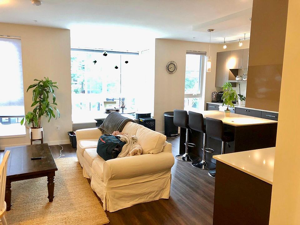 The Living Area