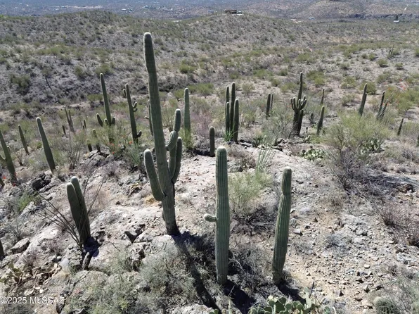 E Rincon Creek Ranch Rd, Tucson, AZ 85747