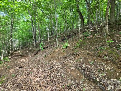 Grandview Cliff Hts, Maggie Valley, NC, 28751