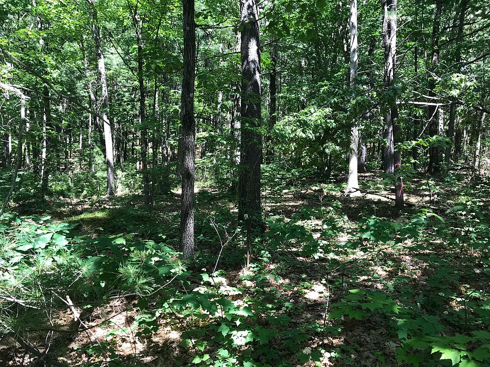 2nd image of 04 Johnny Appleseed Ln