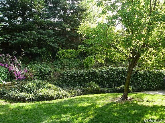 4th image of 984 Palmer Cir
