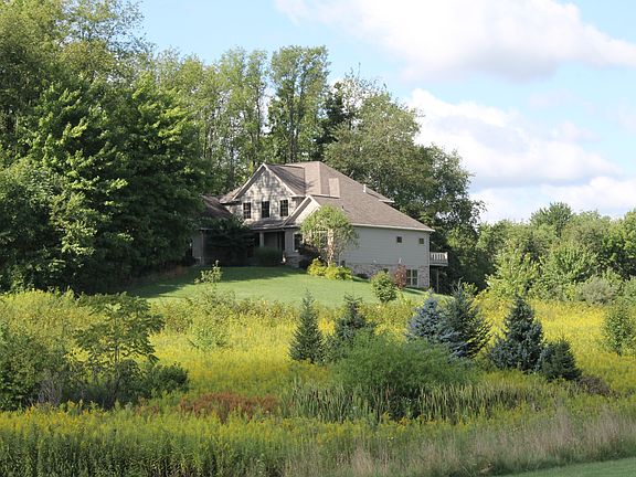 View from near pond.