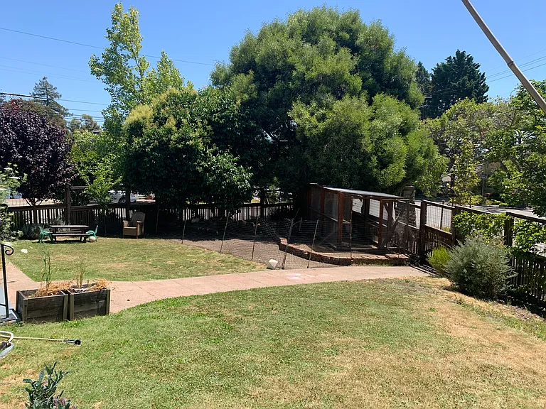 Front yard (right)