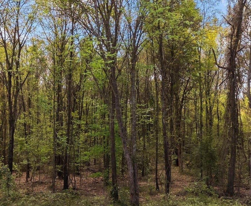 2nd image of 18275 County Road 237