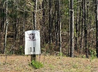 0 Eastview Trl #11, Ellijay, GA 30536