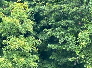 0 Buckaroo Ln, Hardy, AR 72542