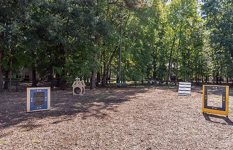 Springhouse Apartments — Photo 16