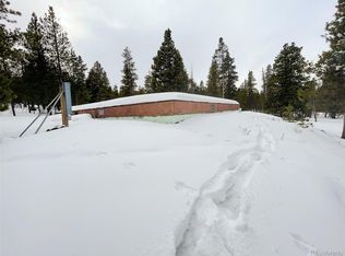 480 Ridge Rd, Twin Lakes, CO 81251