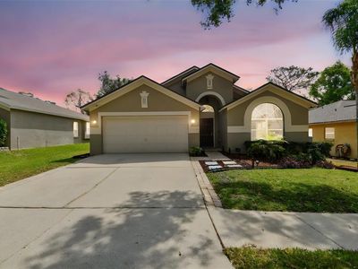 2719 Brookville Dr, Valrico, FL, 33596
