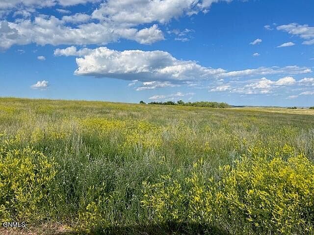1st image of Nd22 Lot 11