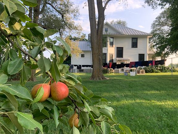 There is a pear and beach orchard on the north side of the house, and a clothesline.