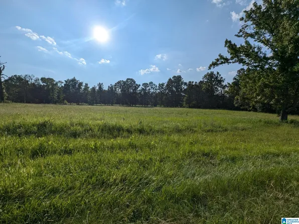 0 Poplar Springs Rd, Trussville, AL 35173