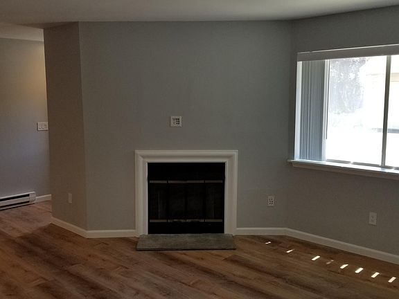 Living Room and Fireplace