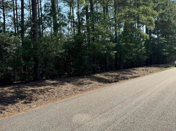 0 Center Hill Rd #0, Sylacauga, AL 35150