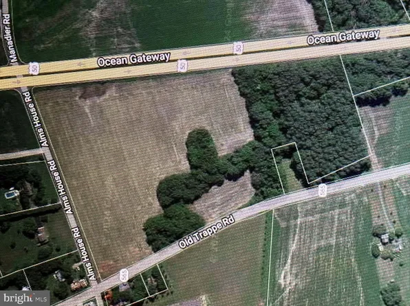 Old Trappe Rd, Trappe, MD 21673