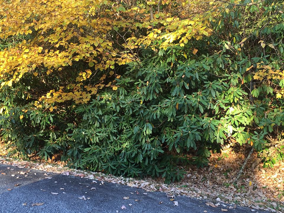 1st image of Lot 10 Ski Crest Park