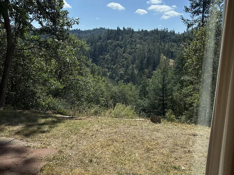View from living room
