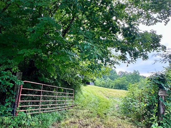 3647 Kenyon Rd, Parrottsville, TN 37843