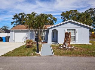 10111 Lazy Creek Ct, Tampa, FL 33615
